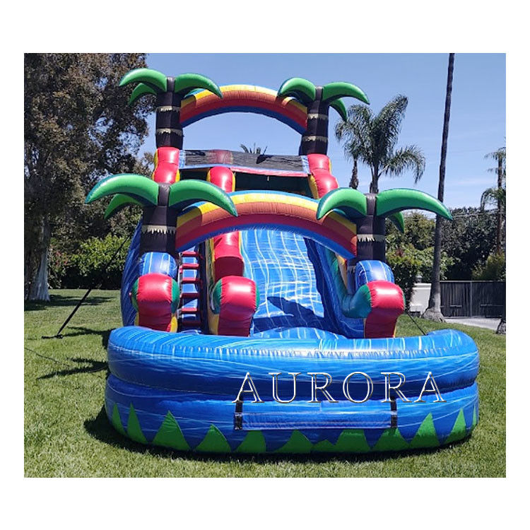 Bouncy Giant Inflatable Water Slide For Adult Wet Dry Pool Water Slides 18ft