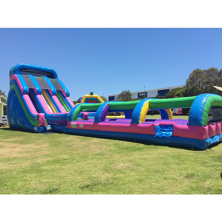 Water Inflatable Slide Jumping Slide Party Pvc 18ft Dolphin Water Slide For Pool